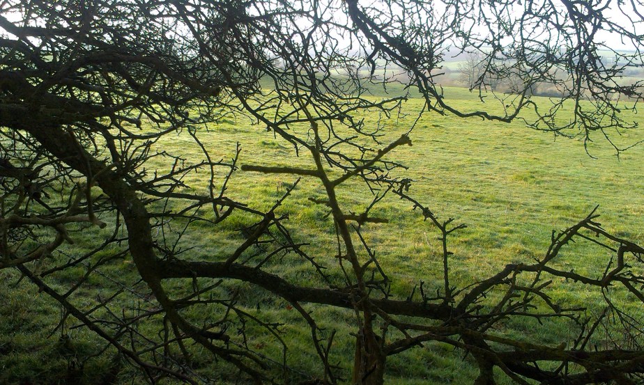 Green, blue &&nbsp;wet…