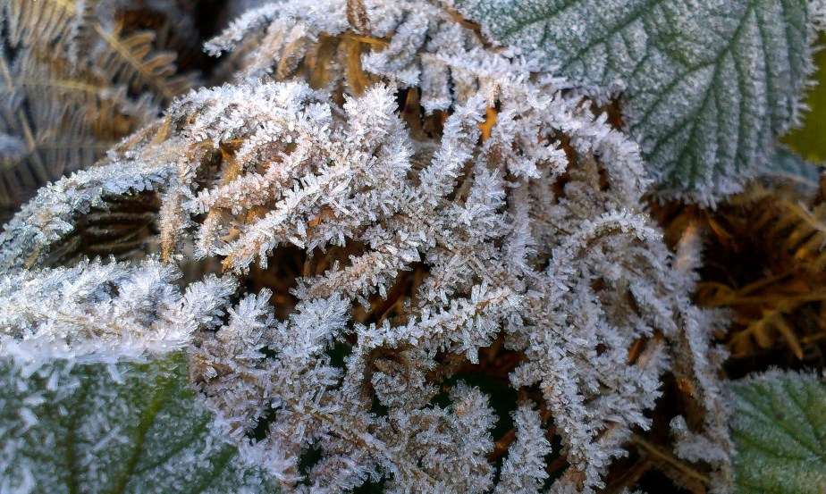 Frustrations, faffing and&nbsp;failures…