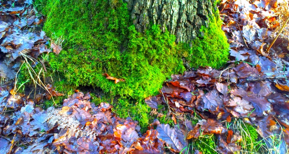 A Brief Interlude…