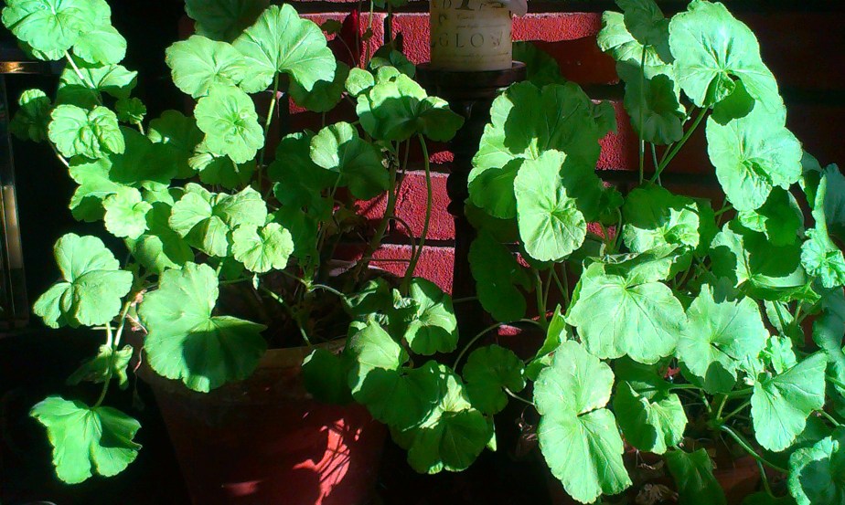 Fun For Free – Well&nbsp;Almost…