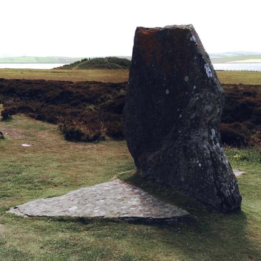 2016-07-01 15_Fotorrob2