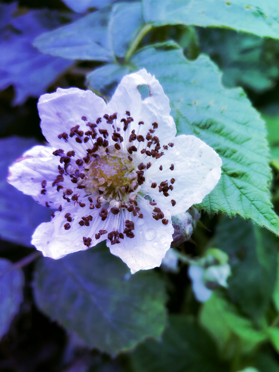 IMG_20170605_090521_20170609210116770